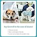 Aimydog Dog Surgery Recovery Suit, Recovery Suit for Dogs Male Neuter, Soft Spay Suit for Female Dog,Anti-Licking Breathable Onesie for Small Medium Large Dogs Cats