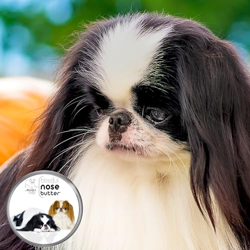 Image of The Blissful Dog Japanese Chin Nose Butter for Dry, Cracked Skin, Lick-Safe Dog Nose Balm with Moisturizing Shea Butter, Almond, Olive, and Essential Oils, Pet Supplies, Uncented, 4 oz.
