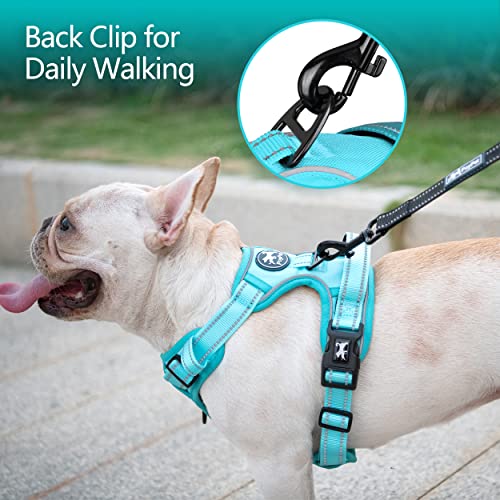 Image of PoyPet No Pull Dog Harness, No Choke Reflective Dog Vest, Adjustable Pet Harnesses with Easy Control Padded Handle for Small Medium Large Dogs(Mint Blue Matching Trim,S)