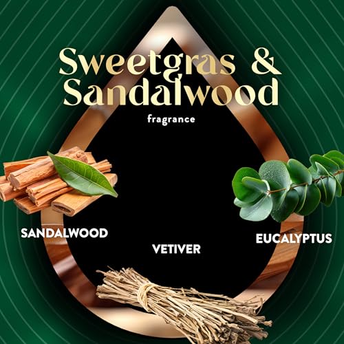 Air Wick Vibrant Plug-In Scented Oil Refills, 10 Count, Sweetgrass & Sandalwood, Air Freshener, Essential Oils, Eco Friendly - image 4