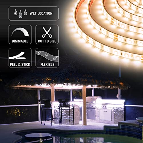 Image of Armacost Lighting RibbonFlex Pro Bright White (4000K), 60LEDs /M, 10M, 24V Outdoor Tape Light 155450