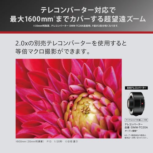 Image of Panasonic (H-RSA100400) 100-400mm, F4.0-6.3 II ASPH, Micro Four Thirds Camera Lens