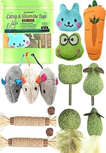 Kidpet Catnip Toys – 12 Stück Katzenspielzeug Set