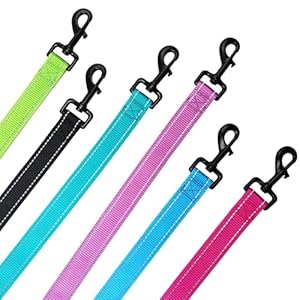   3-Handle-Dog-Leash-10FT-Triple-Handle-Dog-Leash-Reflective-Stitching-Three-Padded-Traffic-Handles-Heavy-Duty-Dog-Leash-Training-Dog-Lead-for-Control-and-Safety