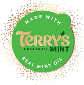 Terry's Chocolate Mint Flavour Milk Chocolate, 145g