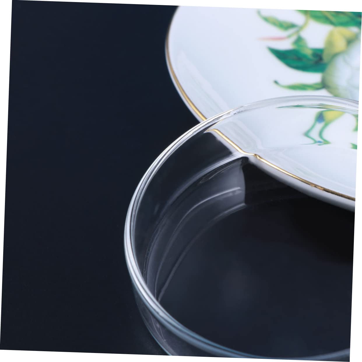 Mipcase 3pcs Clear Shrimp Feeding Dish-Glass Aquarium Accessories Glass Fish Tank Feeding Bowls Freshwater Tray Feeder - Image 2