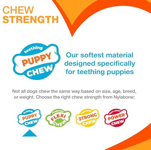 Nylabone Ring Bone & Teething Bone Puppy Chew Toy for Dogs, Soothing Puppy Teething Toys, Puppy Enrichment Toys, Long Lasting Chicken Flavor, Medium Dogs - Up to 35 lbs, 2 Pack by Nylabone - Image 5