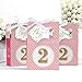 Big Dot of Happiness Two Much Fun - Girl 2nd Birthday Party Favor Boxes Set 12