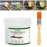 Madrigal Bonsai Pruning Sealer - Tree Wound Healing Paste for Grafting & Pruning Cuts | Fast-Drying| Professional Strength for Bonsai, Fruit Trees, and Plants