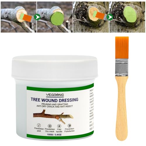 Madrigal Bonsai Pruning Sealer - Tree Wound Healing Paste for Grafting & Pruning Cuts | Fast-Drying...