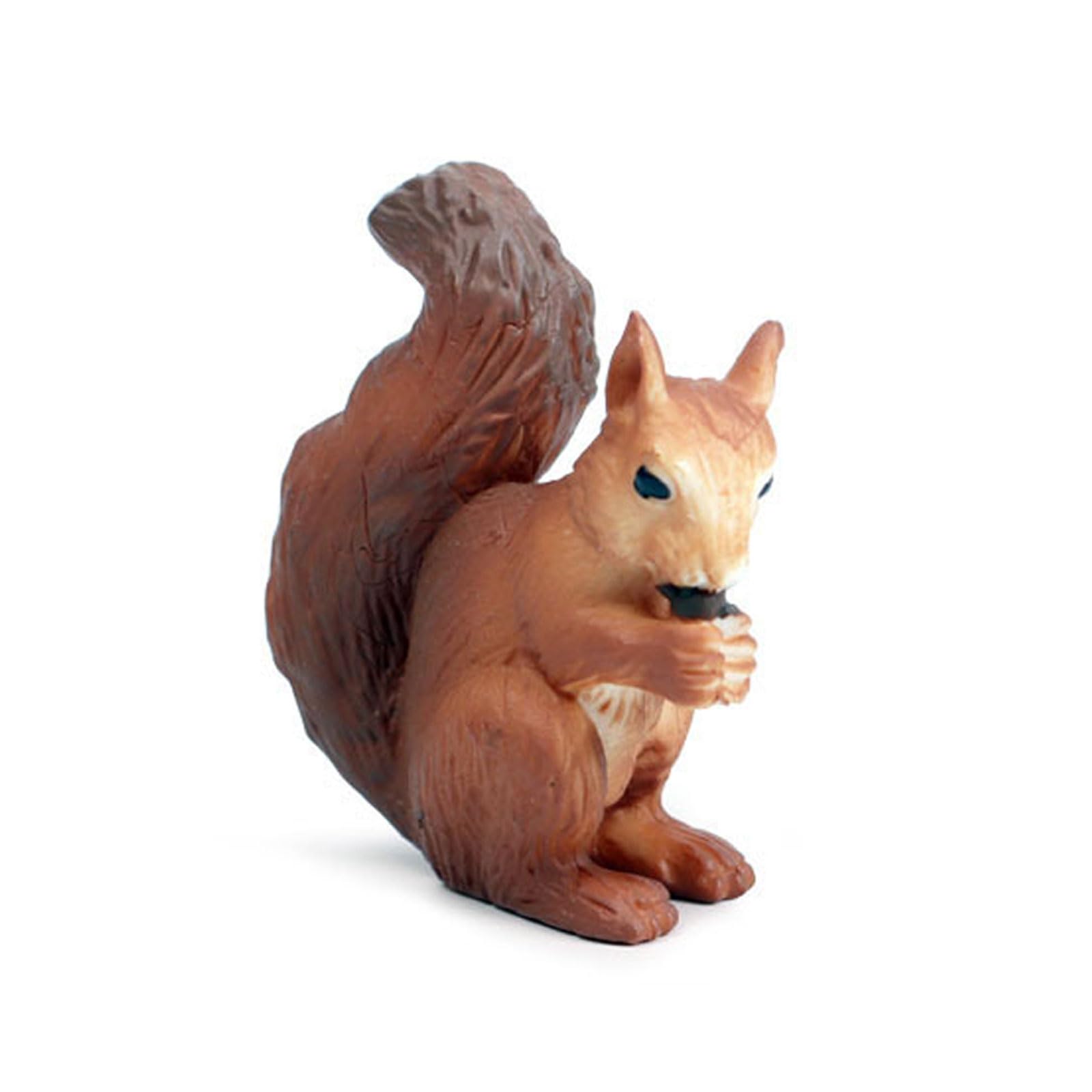 Ciclo De Vida Figuras De Animales Juguete 4 Etapas De Panda Ciencia Juguetes Educativos Estilo D