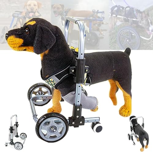 Dog Wheelchair for Front Legs, Adjustable & Lightweight Dog Carts with 4-Wheeled, Pet Wheel Chair with Front Limb Walking Mobility Aids for Disabled or Injured Pets,M