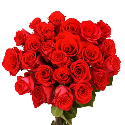 Red Roses- Beautiful Gift- 100 Fresh Flowers #TOP5