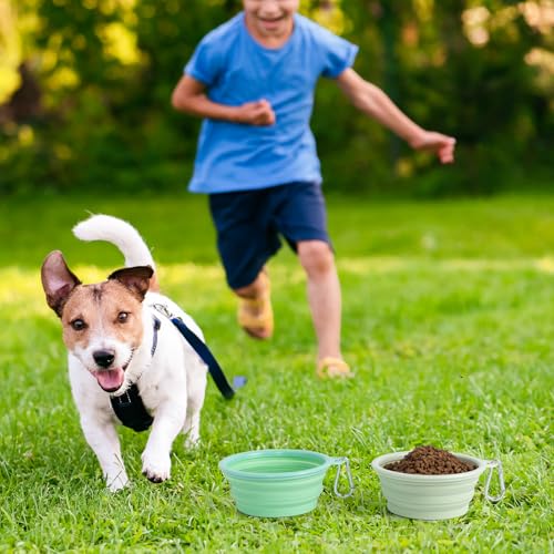 View 3