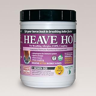 Heave Ho Horse Nutritional Supplement for Breathing Allergies, COPD, Coughing 30 Servings Sugar-Free Apple