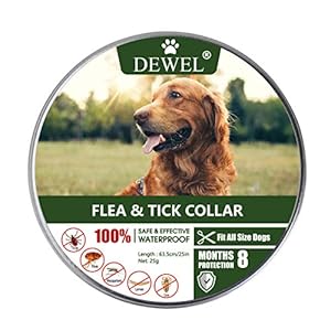 DEWEL Collar Antiparasitos para Perro,Gato Pequeño Mediano Grandes contra Pulgas, Garrapatas y Mosquitos, 8 Meses（para Perros）