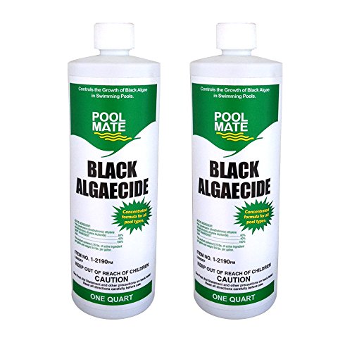 Best Black Algae Killer For Pool 2024 Where to Buy?