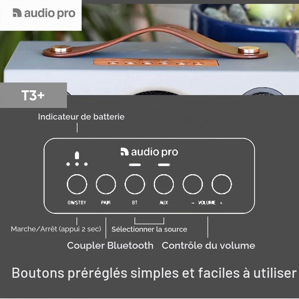 Audio Pro Addon T3+ Grey - Enceinte Portable avec Caisson Bass-Reflex, Bluetooth - sans Fil avec Sortie USB & Simplificateur Numérique – Autonomie 30h
