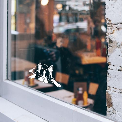 Image of WIRESTER 6 inch Clear Vinyl Decal Sticker Decoration for Car Window (Or Any Flat Surface) - Boston Terrier Dog Lying Down Looking Up
