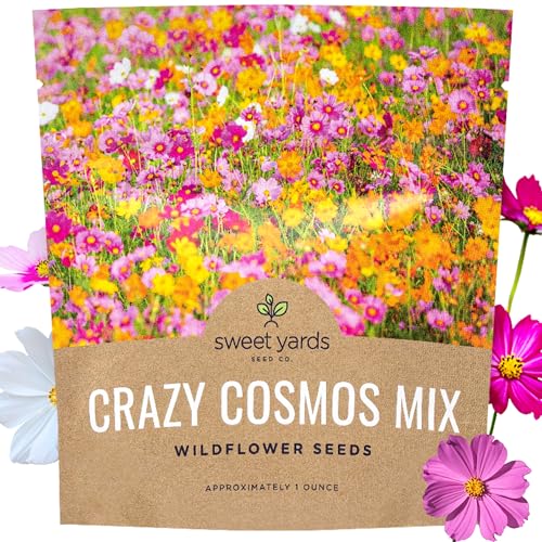 Cosmos Seeds Wildflower Mixture - Bulk 1 Ounce Packet - Over 5 000 Seeds - Pink Yellow Orange Red Purple and White Mixed Species!