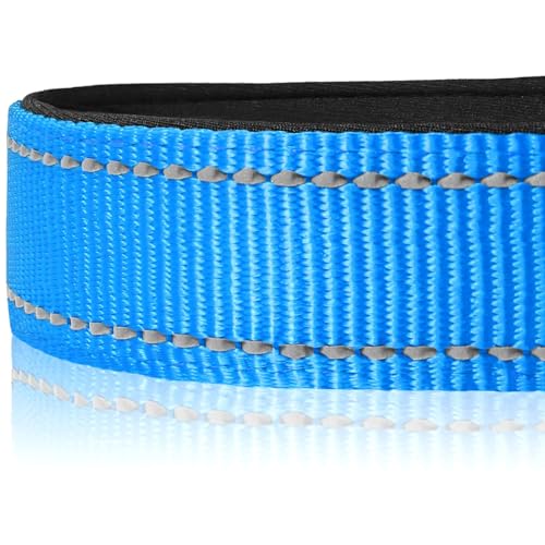 Joytale Halsband Hund, Gepolstertes Hundehalsband Breit aus Neopren Nylon Hundehalsband Verstellbar für Kleine Hunde, Weich und Reflektierend Hundehalsbänder, S, Blau