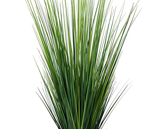 Collection by Tiffany Frosted Blue California Preserved Eucalyptus Stems 8 Oz Bundle Stress Relief Home Remedy