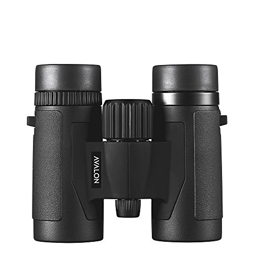 Avalon 8x32 Mini HD Binoculars - Black