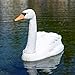 Aquascape Floating Swan Decoy for Koi Ponds, Fish Ponds, Water Gardens, and Pools – Effective Predator Deterrent and Decorative Accent, 74014