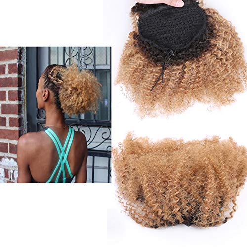 Loxxy Curly Clip in hair extension (12inch, PN Afro Curly #1b/27)
