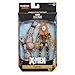 Hasbro Marvel Legends Series 6-inch Collectible Sunfire Action Figure Toy X-Men: Age of Apocalypse Collection