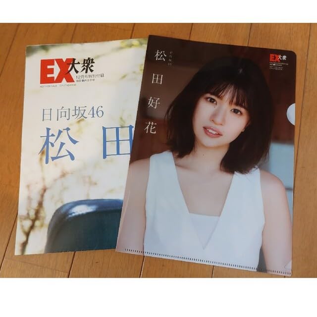 日向坂46ポストカード・クリアファイル・ポスター・雑誌のまとめ売り 2025年最新】グループ名：日向坂46 クリアファイルの人気
