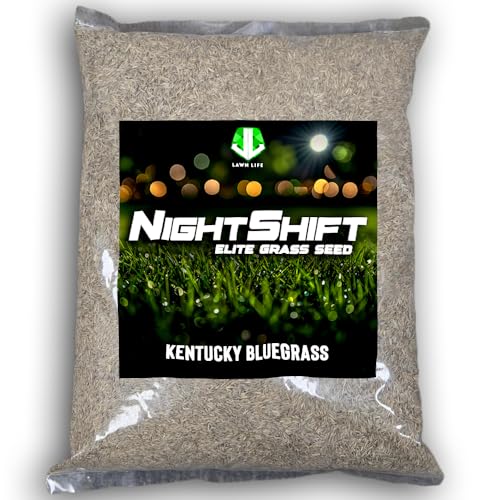 NightShift (Formerly Blackout) Kentucky Bluegrass Grass Seed (5 lbs)