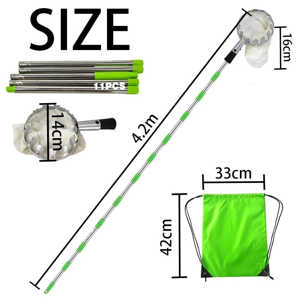 TUIBEIDAMAI Raccoglitore di Frutta con Manico Telescopico 4,25M, Raccoglitore di Mele Diametro 16 cm, Raccoglitore di Ciliegie con Sacchetto di Cotone, Raccoglitore di Frutta in Acciaio Inox per