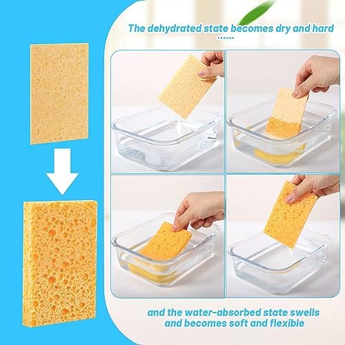 Kitchen Sponges, 12 Pack Washing Up Sponge, Natural Colourful Compostable Cellulose Dish Sponge Kitchen Cleaning Sponge for Home Car Daily Use