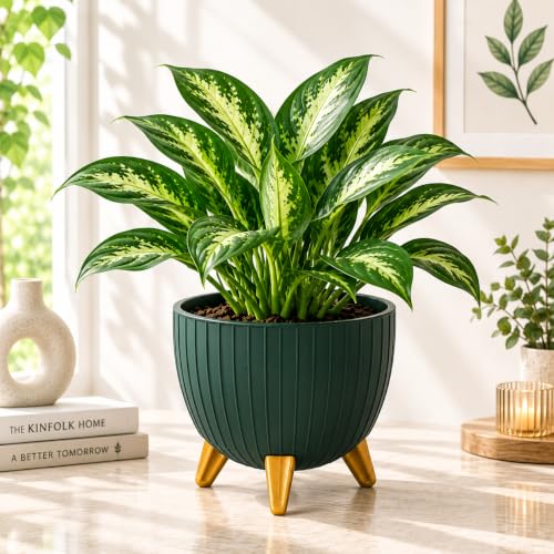 Image of (7 Inch) Plastic Flower Pot for Indoor Outdoor Plants with Stand, Decorative Ribbed Planter Pot with Legs, Round Gamala for Living Room, Pot for Office Table (Green, Pack of 1)