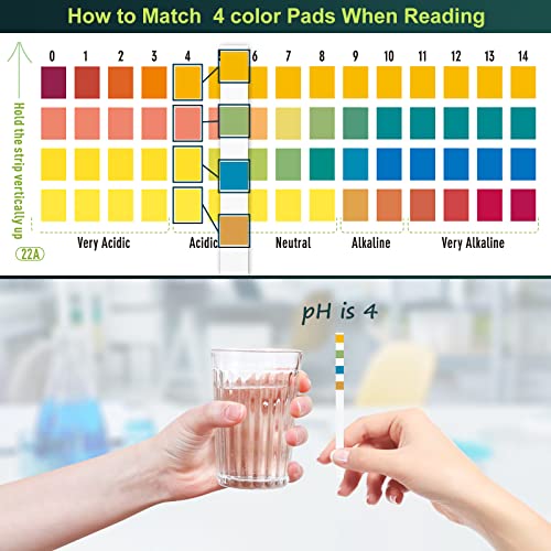 Ph Test Strips - 200Ct + 4 Colorimetric Blocks - Easy To Use And Wide Range Ph Strips - For Testing Water, Soil, Soap, Chemistry Experiment, Pet Food, Diet Ph Monitoring And So On #TOP4