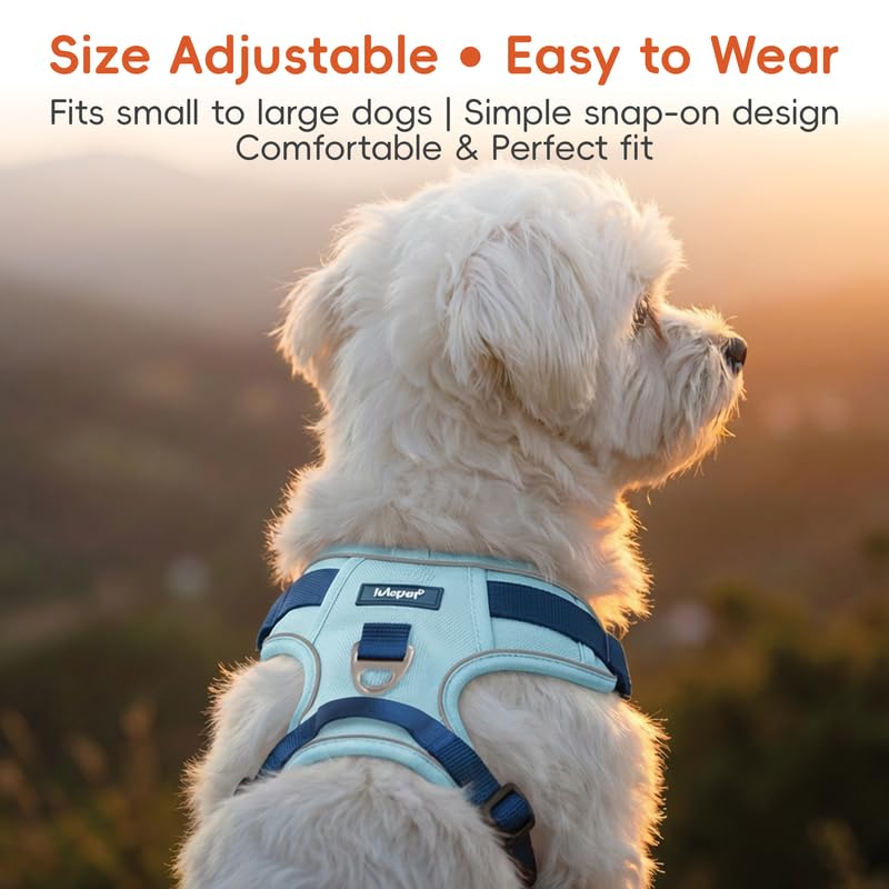 Image of Dog Harness and Leash Set with Collar, No Pull Reflective Pet Vest Harness with Control Handle for Medium Large Dogs Walking and Training