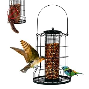 All Metal Squirrel Proof Wild Bird Feeders Bird Feeder for Outside Hanging with Porous Feeding Ports for Outdoors Capacity Bird Food for Small Birds Chew Proof and Rust Proof