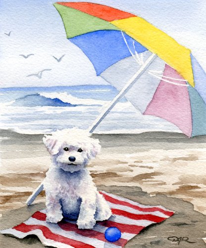 Bichon Frise At The Beach Art Print by Watercolor Artist DJ Rogers
