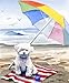 "Bichon Frise At The Beach" Art Print Signed by Artist DJ Rogers