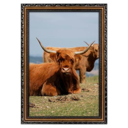 Image of Black 12x18 Frame Wood Vintage 12 x 18 Frames Gold | Real Glass, Easy Photo Changes, Wall Hanging, Ornate Wall Art
