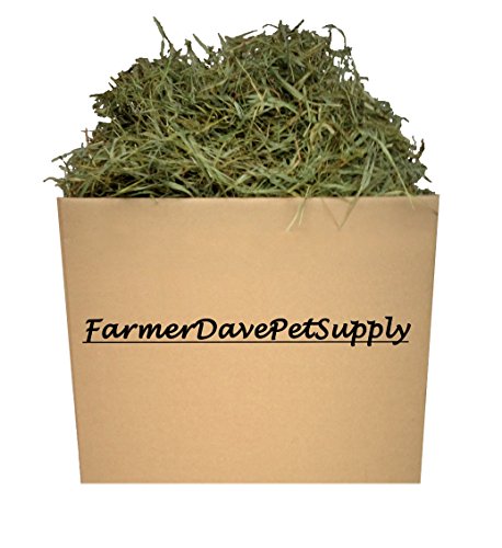 Alimento 15 lb Timothy Hay para conejos y roedores