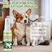JoanofArc Potty Training Spray for Dogs, Puppy Potty Training Spray, Dog Deterrent Spray, Address Canine Inappropriate Elimination Habits for Indoor & Outdoor Environments, 30ml
