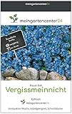 vergiss nicht zu danken dem ewigen herrn gitarre 🌼 Das mgc24 Vergissmeinnicht 'Blauer Ball' Myosotis sylvatica ist ein bezaubernder blauer Frühjahrsblüher mit kompaktem Wuchs.