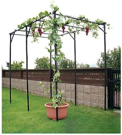 Amazon | くだもの棚セット キウイ棚 ぶどう棚 頑丈 葡萄棚 園芸棚