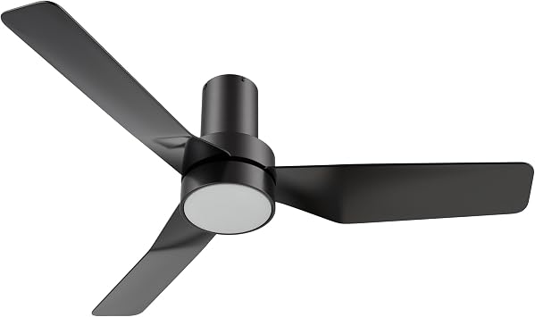 CEME 44-Inch Low Profile Ceiling Fan with Light and Remote, Small Flush Mount Ceiling Fan with 10-speed DC Motor, Indoor & Outdoor for Bedroom, Living room, Black