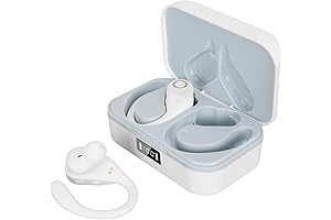 Eliminate Language Barriers with Instant Voice Translation Earbuds