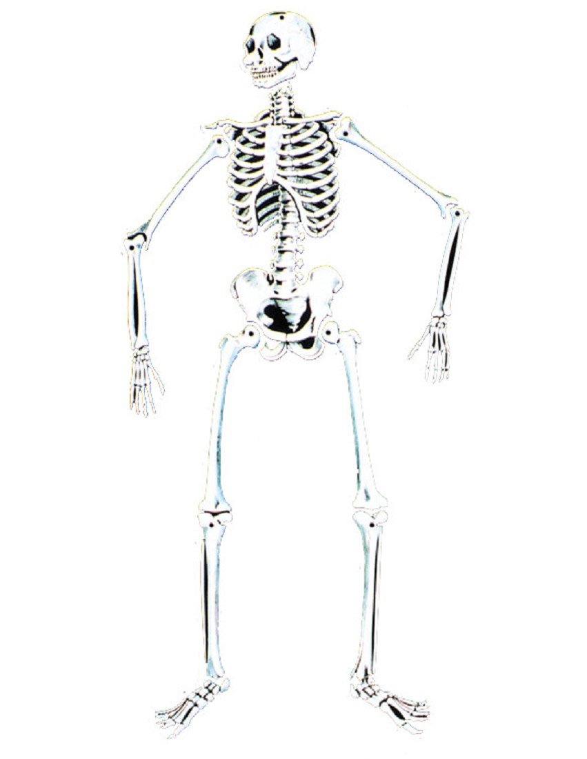 Skeleton 55''Glow Cardboard