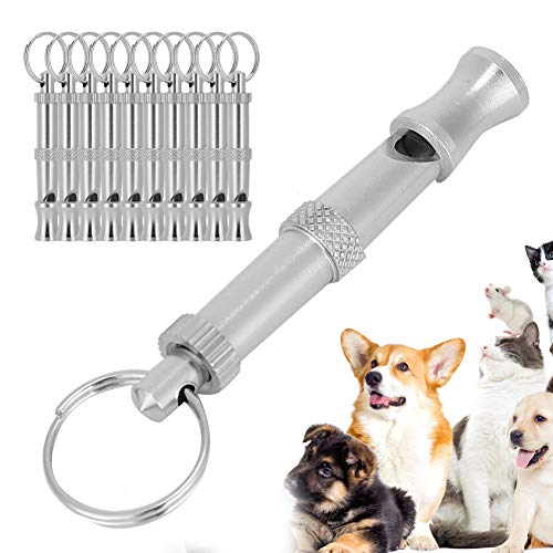 Using Dog Training Whistle Outdoors