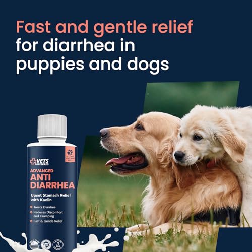 Vets Preferred Anti-Diarrhea & Gas Relief for Dogs – Kaolin Formula to Soothe Upset Stomach & Support Digestive Health – All Breed & Size Dogs – 8 fl oz Liquid – Made in USA